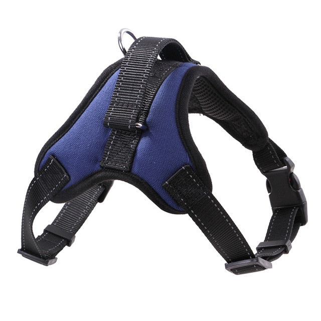 Stylish Dog Harness