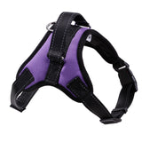 Stylish Dog Harness