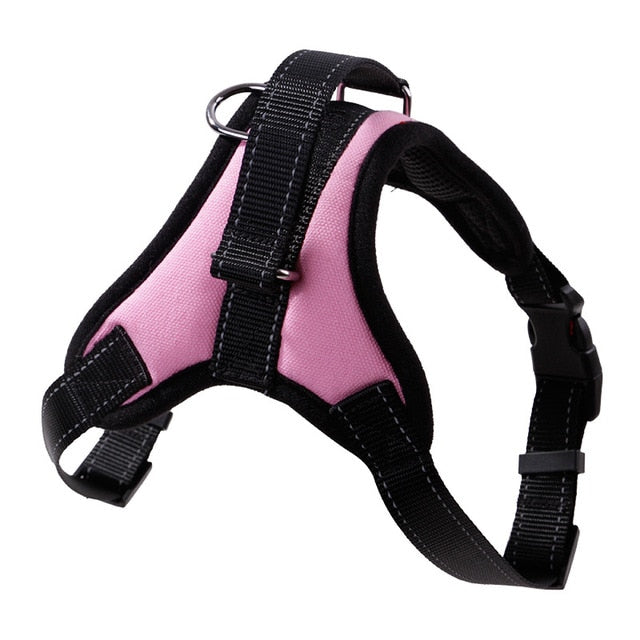 Stylish Dog Harness