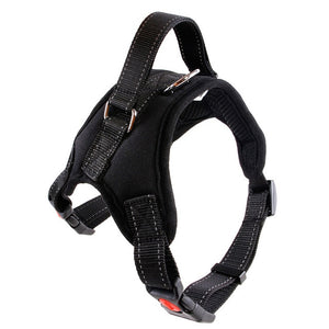 Stylish Dog Harness