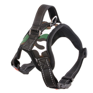 Stylish Dog Harness