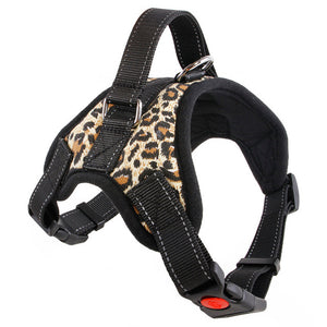 Stylish Dog Harness