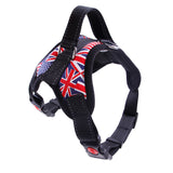 Stylish Dog Harness