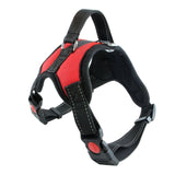 Stylish Dog Harness