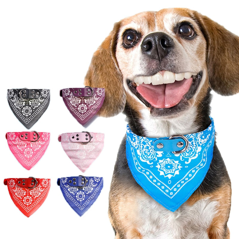 Cute Dog Bandana