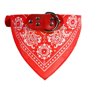 Cute Dog Bandana