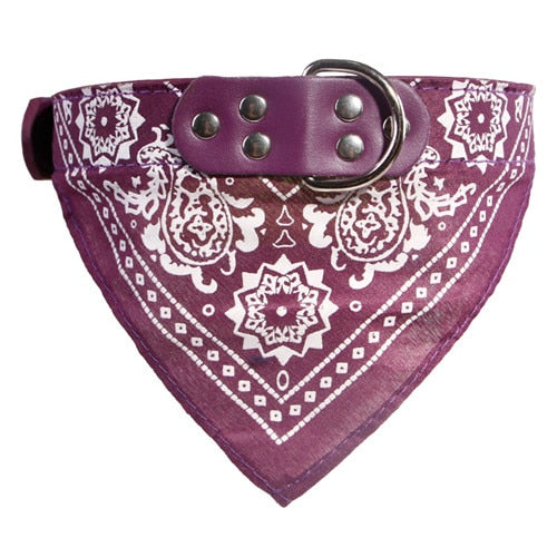 Cute Dog Bandana