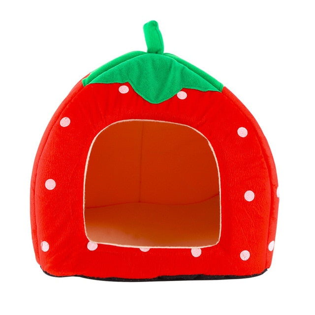 Fruit Shaped Dog Bed