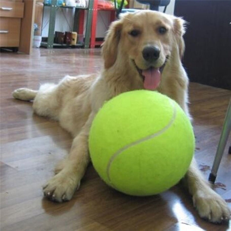 24CM Giant Tennis Ball