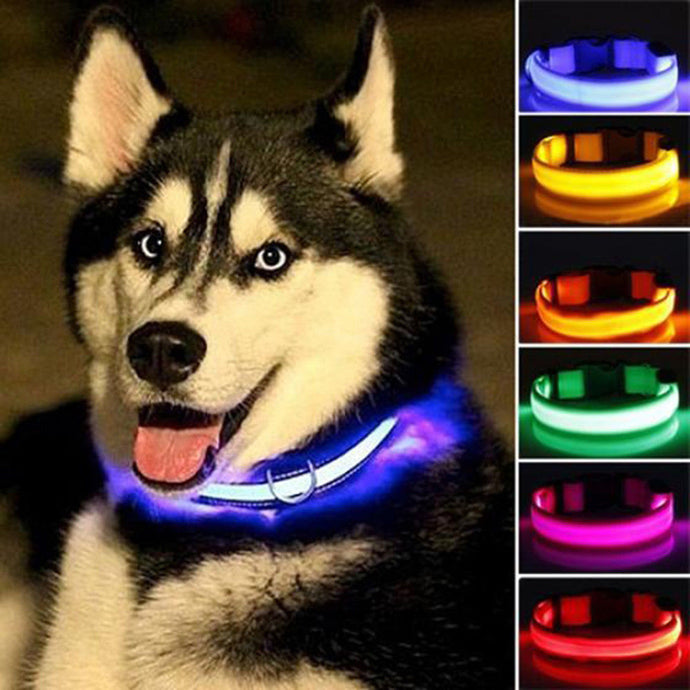 Nylon LED dog Collar