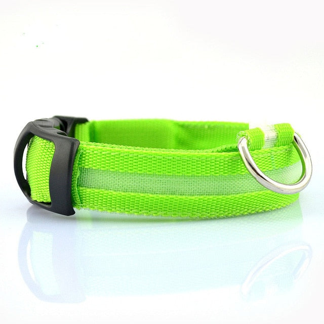 Nylon LED dog Collar