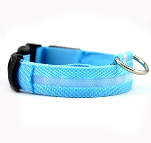 Nylon LED dog Collar