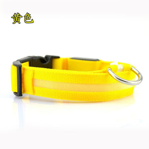 Nylon LED dog Collar