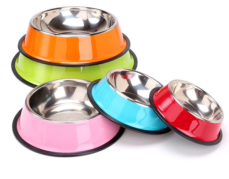 Colorful Dog Bowl