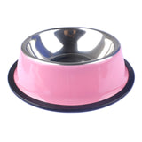 Colorful Dog Bowl