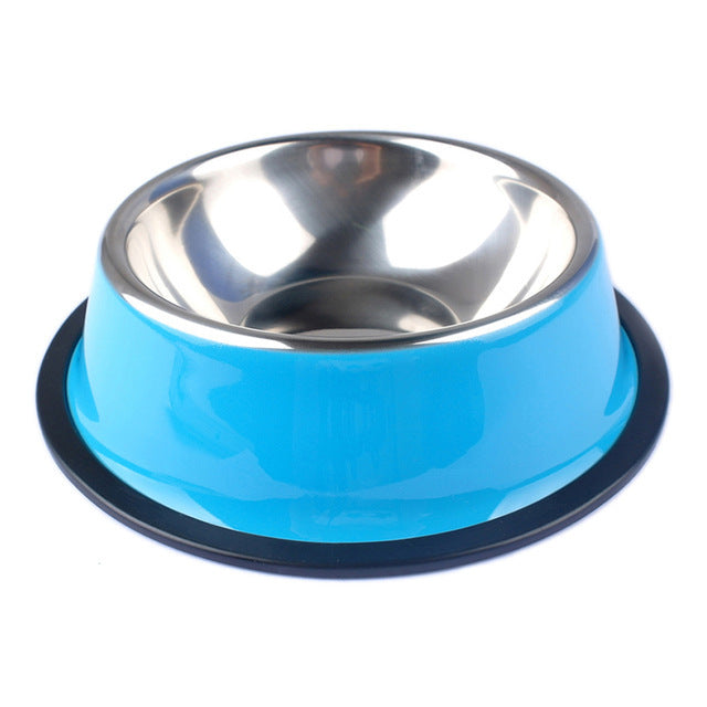 Colorful Dog Bowl