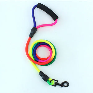 Rainbow 2M Dog Leash