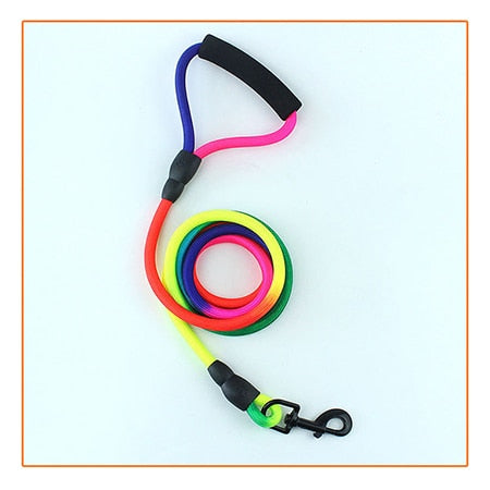 Rainbow 2M Dog Leash