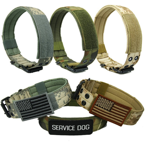 Durable Nylon Dog Collar