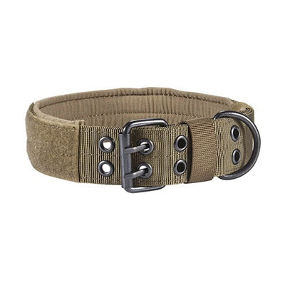 Durable Nylon Dog Collar