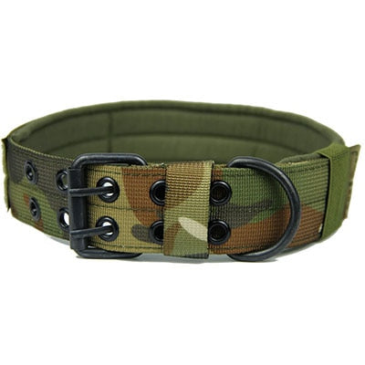 Durable Nylon Dog Collar