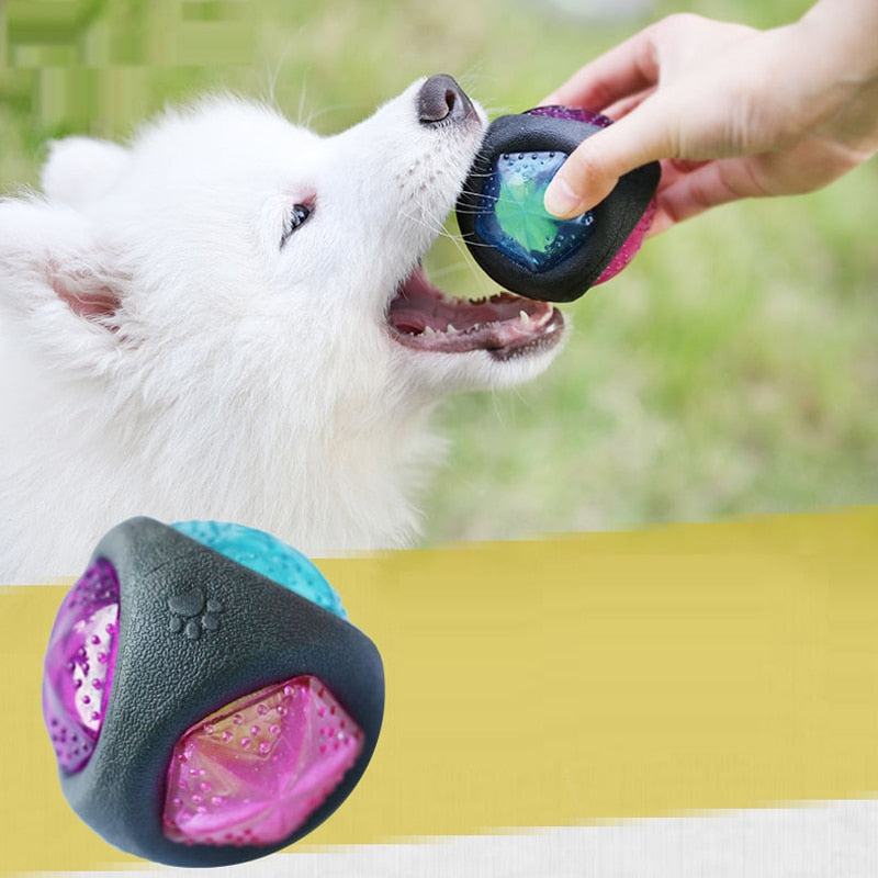 Colorful Rubber Dog Toy