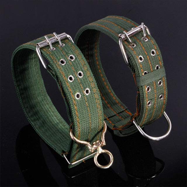 Large Dog Collar