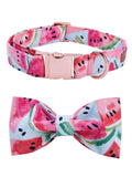 Watermelon Pink Cotton Fabric Dog Collar and Leash Set