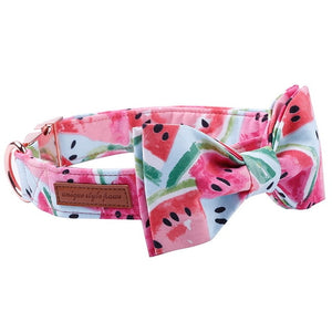 Watermelon Pink Cotton Fabric Dog Collar and Leash Set