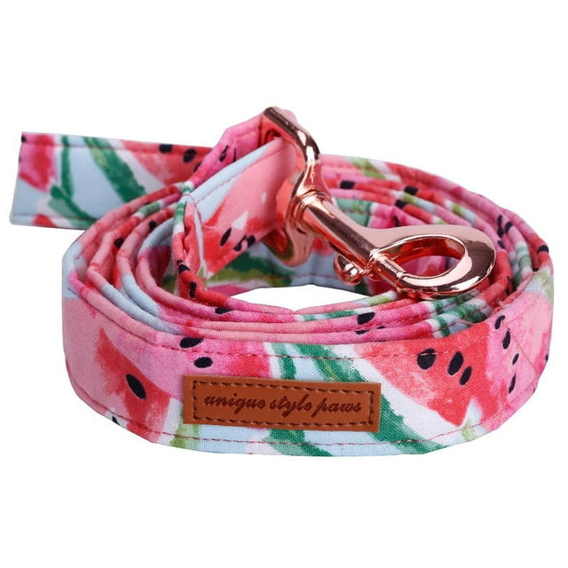 Watermelon Pink Cotton Fabric Dog Collar and Leash Set