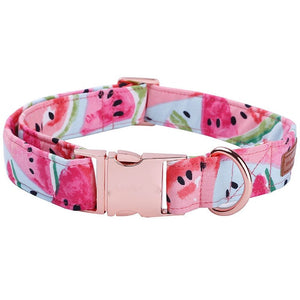 Watermelon Pink Cotton Fabric Dog Collar and Leash Set