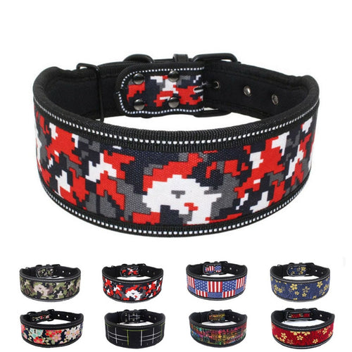 Nylon Dog Collar