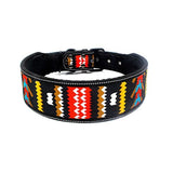 Nylon Dog Collar