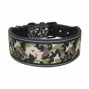 Nylon Dog Collar