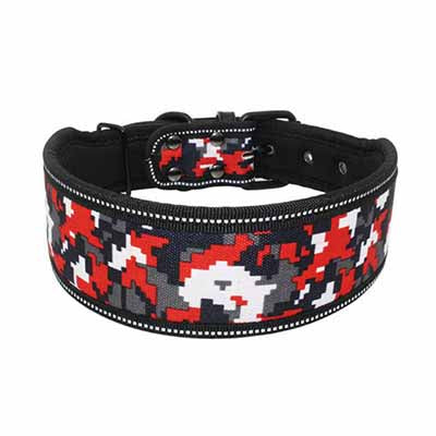 Nylon Dog Collar