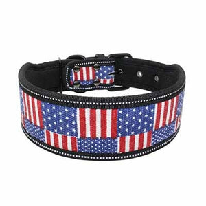 Nylon Dog Collar