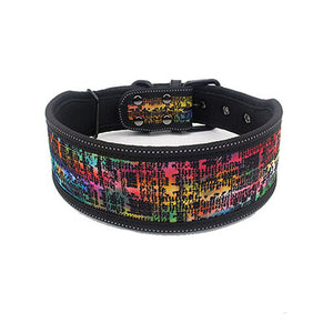 Nylon Dog Collar