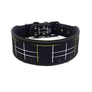 Nylon Dog Collar