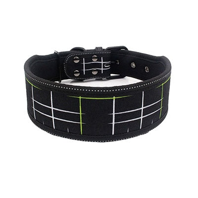 Nylon Dog Collar