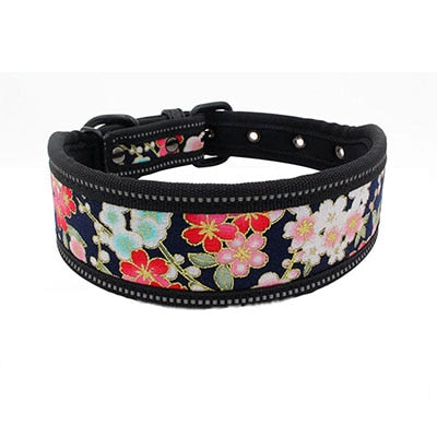 Nylon Dog Collar