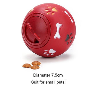 Interactive Dog Toy