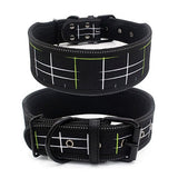 Reflective Dog Collar