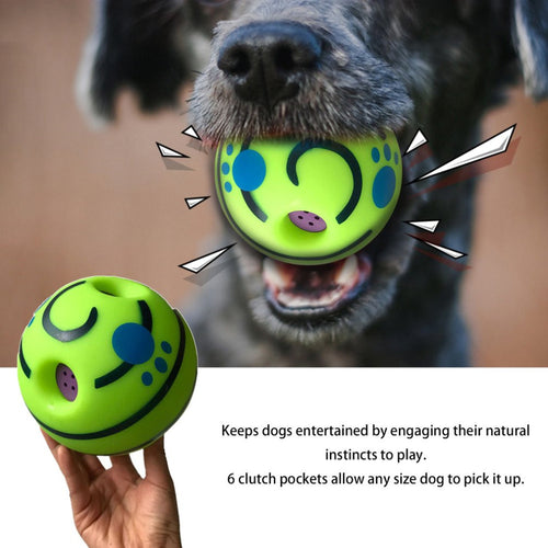 Interactive Dog Toy w/ Sound