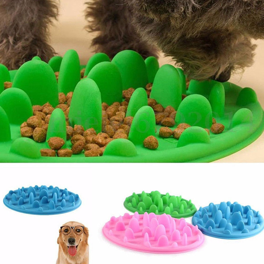 Pet Dog Feeding Food Dish