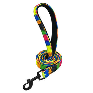 Patterned Dog Leash