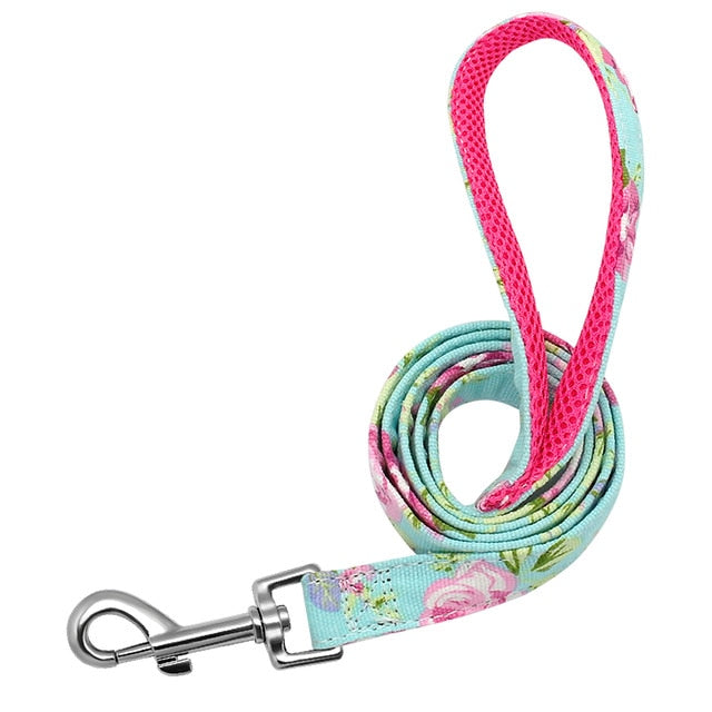 Patterned Dog Leash