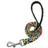 Patterned Dog Leash