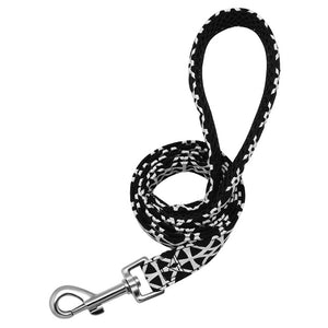 Patterned Dog Leash