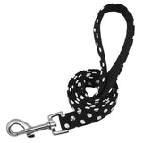 Patterned Dog Leash